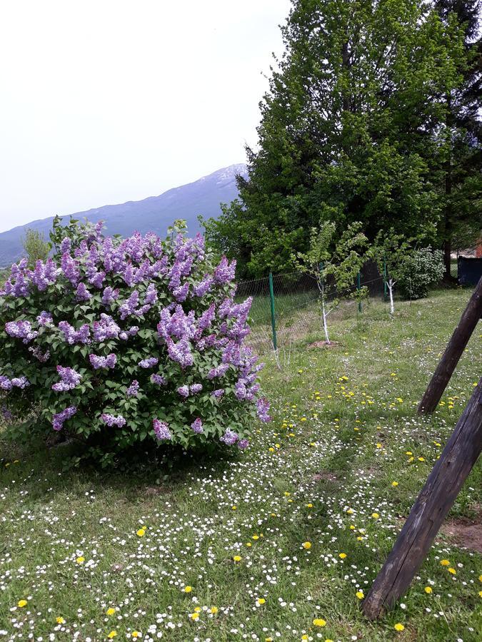 Apartment Gradina Korenica Εξωτερικό φωτογραφία